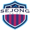 لوگوی Sejong SA