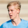 تصویر Emil Lindman