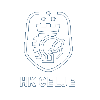 لوگوی Celje