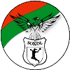 لوگوی Sokol Banovce (Women)