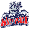 لوگوی Hartford Wolf Pack