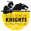 لوگوی VFL Kirchheim Knights