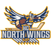 لوگوی North Wings