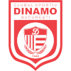 لوگوی Dinamo Bucuresti