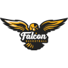 لوگوی AKS Falcon (Women)