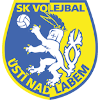 لوگوی SKV Usti nad Labem