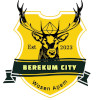 لوگوی Berekum City