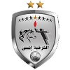 لوگوی انپی