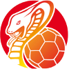 لوگوی HSG Bad Wildungen Vipers (Women)