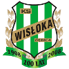 لوگوی Wisloka Debica