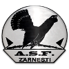 لوگوی ASF زارنستی