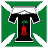 لوگوی Deportes Temuco (Women)