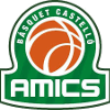 لوگوی A.M.I.C.S. کاستلو
