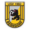 لوگوی USV 1960 Berndorf
