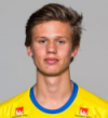 تصویر Pettersson K.
