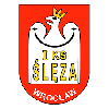 لوگوی Sleza Wroclaw (Women)