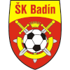 لوگوی SK Badin