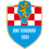 لوگوی HNK Vukovar 1991