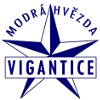 لوگوی Vigantice