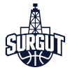 لوگوی Surgut