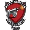 لوگوی Ballincollig