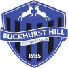 لوگوی Buckhurst Hill