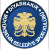 لوگوی Diyarbakir BB (Women)