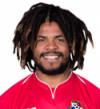 تصویر Roman Torres