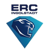 لوگوی Ingolstadt U20