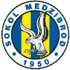 لوگوی Tj Sokol Medzibrod