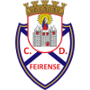 لوگوی Feirense U19