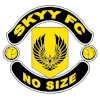 لوگوی Skyy