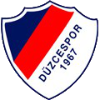 لوگوی Duzcespor