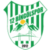 لوگوی 12 Bingolspor