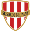 لوگوی Sokol Brozany