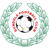 لوگوی داندلا