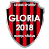 لوگوی Gloria Bistrita Nasaud (Women)