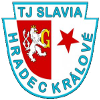 لوگوی Slavia Hradec Kralove