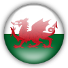 لوگوی ولز U21