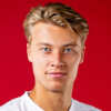 لوگوی Aleksi Lofman