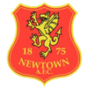 لوگوی Newtown