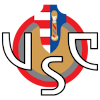 لوگوی Cremonese