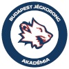 لوگوی Budapest Jegkorong Akademia U20
