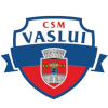 لوگوی Vaslui