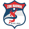 لوگوی Radnik Bijeljina