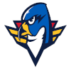 لوگوی Springfield Thunderbirds