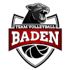 لوگوی Baden