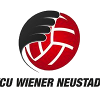 لوگوی Wiener Neustadt