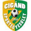 لوگوی Cigand