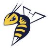 لوگوی Edmonton Stingers